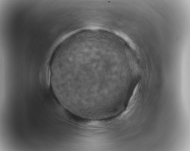X0000088481175200706051355