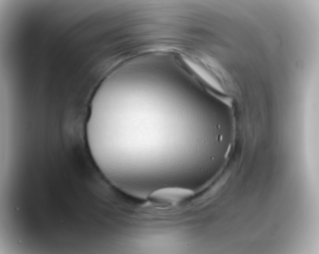 X0000088481177200706051355