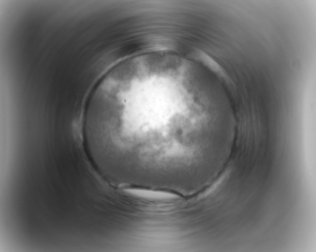 X0000088481178200706051355