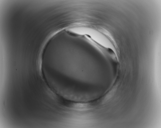 X0000088481179200706051355