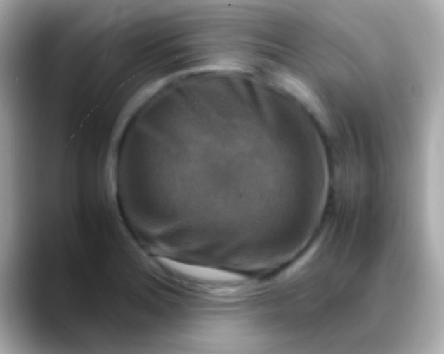 X0000088481180200706051355