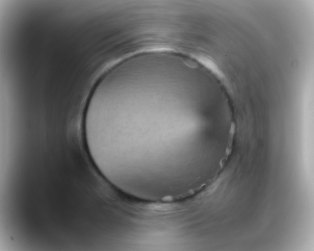 X0000088481181200706051355