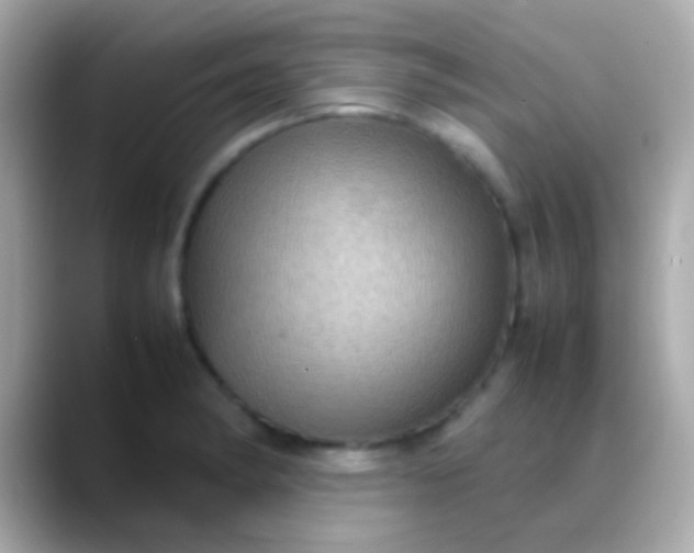X0000088481182200706051355