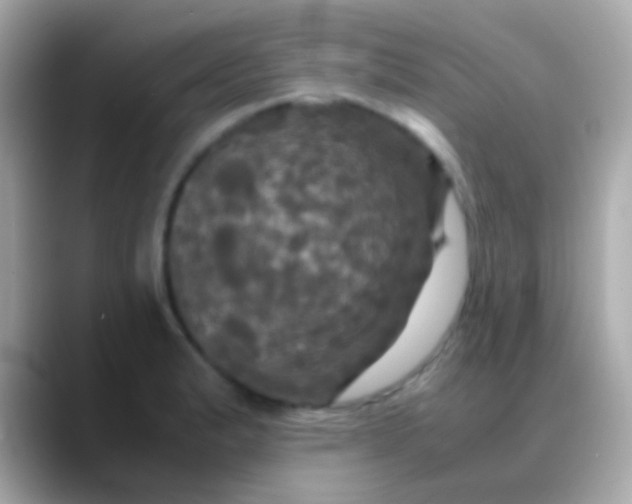 X0000088481183200706051355