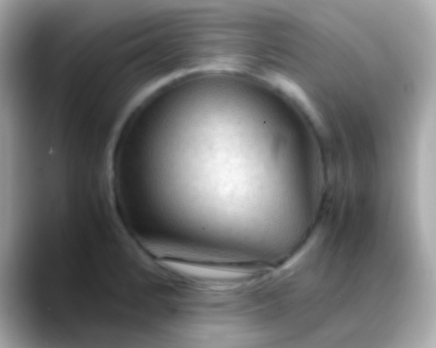 X0000088481184200706051355