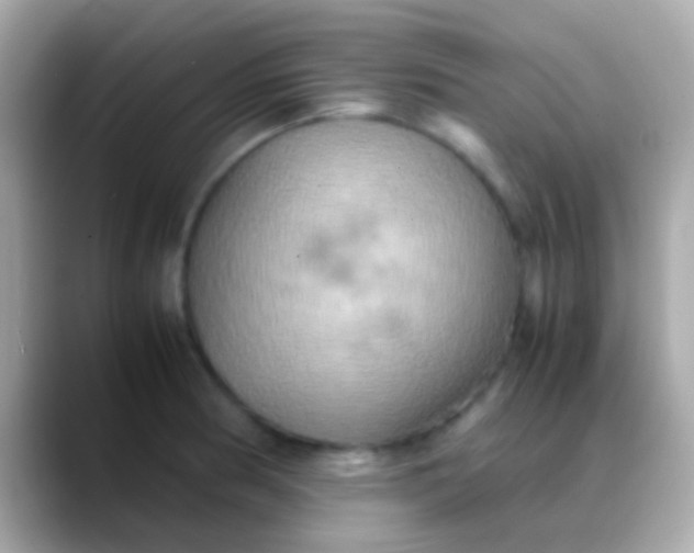 X0000088481186200706051355