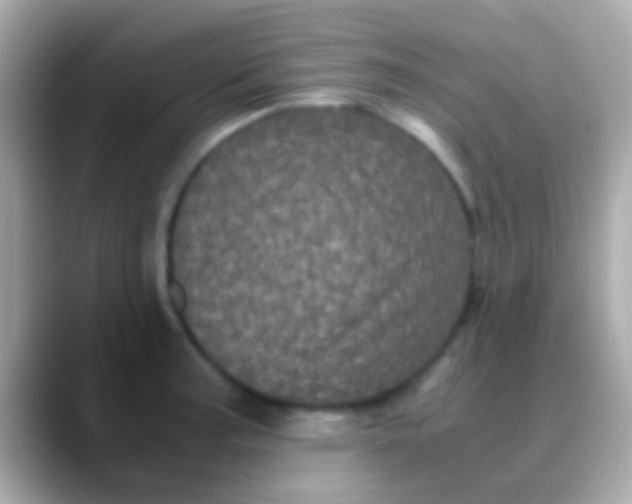 X0000088481187200706051355