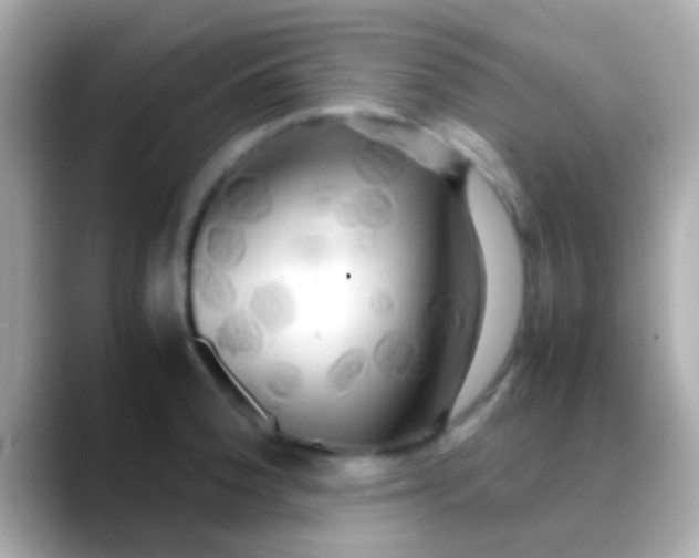 X0000088481188200706051355