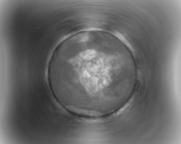 X0000088481189200706051355