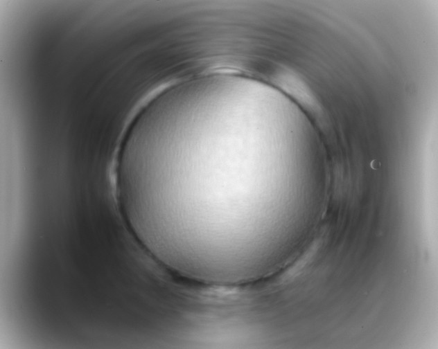 X0000088481190200706051355