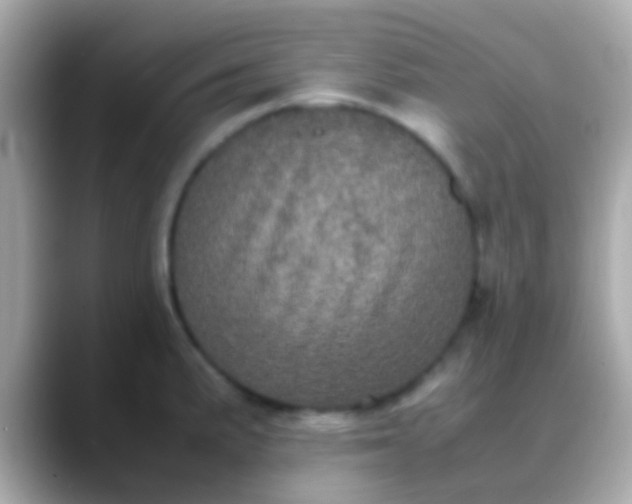 X0000088481191200706051355