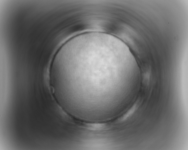 X0000088481192200706051355