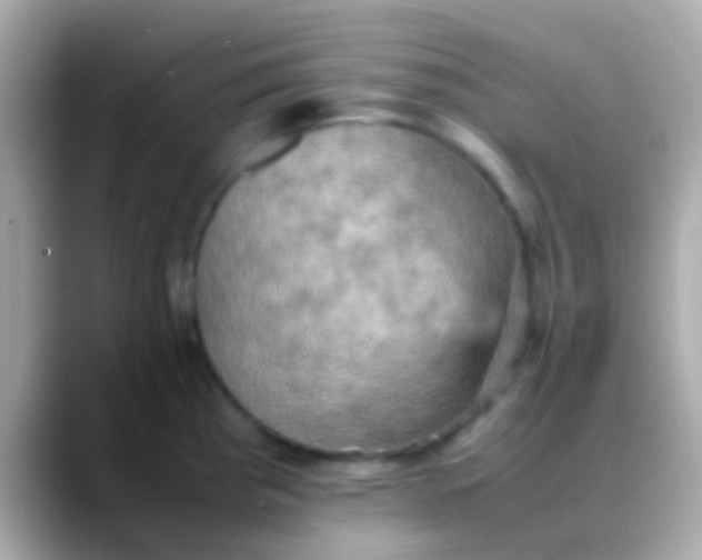 X0000088481193200706051355