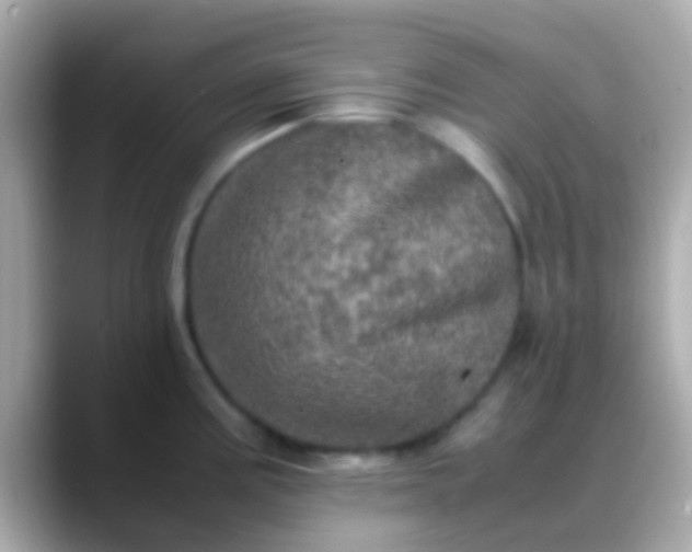X0000088481195200706051355