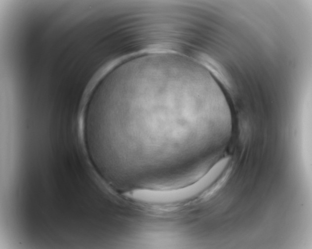 X0000088481196200706051355