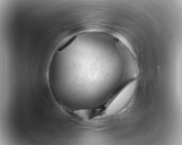 X0000088481197200706051355