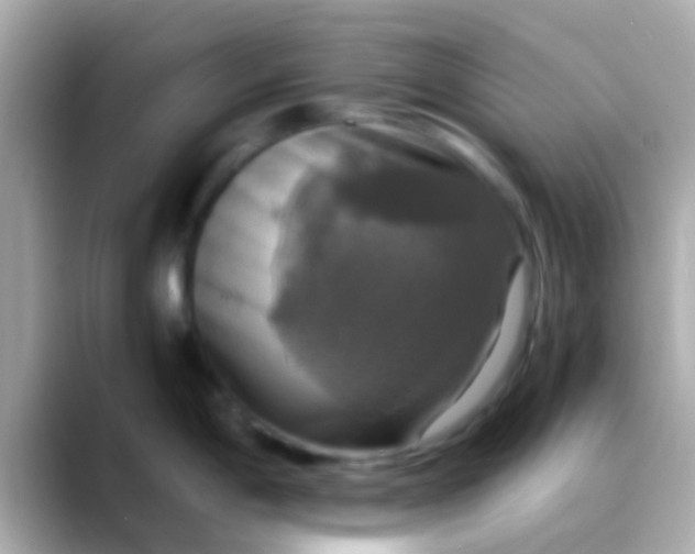 X0000088481198200706051355