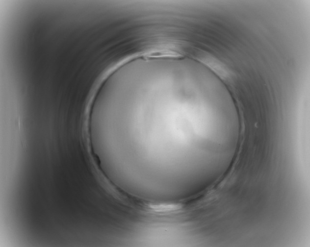 X0000088481200200706051355