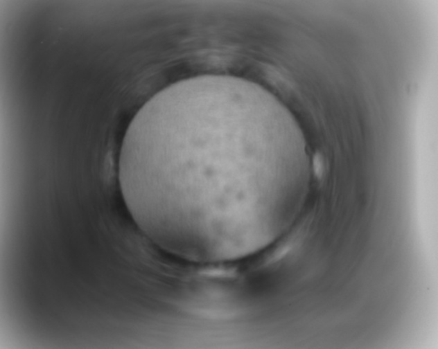 X0000088481203200706051354