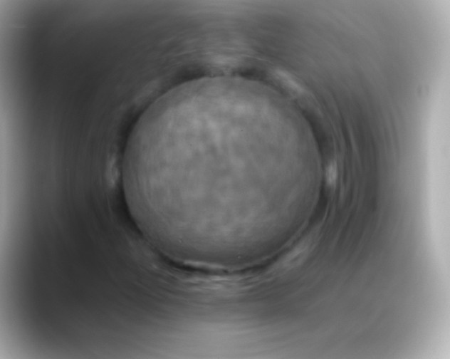 X0000088481204200706051354