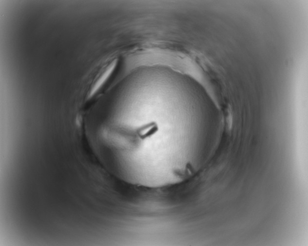 X0000088481206200706051354