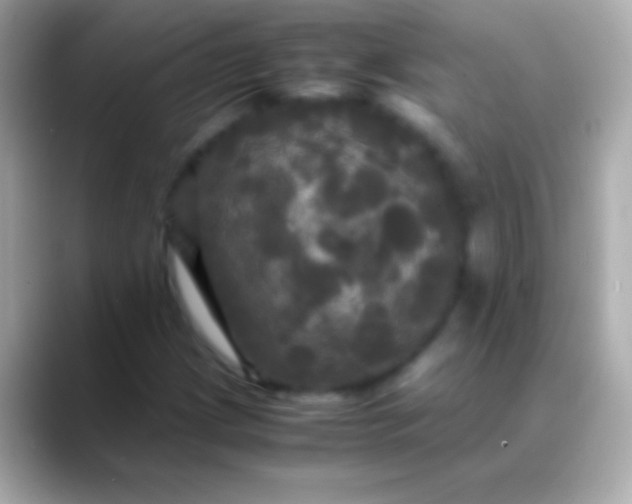 X0000088481209200706051354