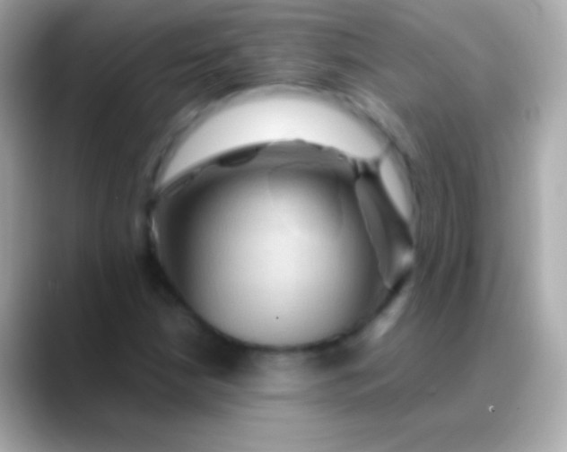 X0000088481210200706051354