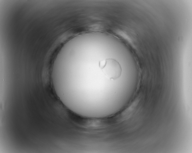 X0000088481211200706051354