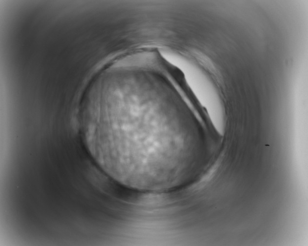 X0000088481212200706051354
