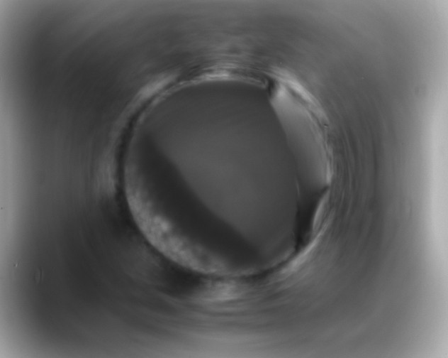 X0000088481213200706051354
