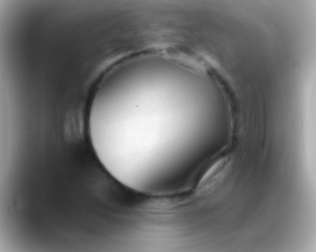 X0000088481214200706051354