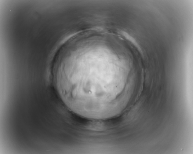 X0000088481215200706051354