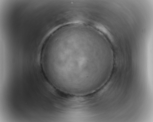 X0000088481216200706051354
