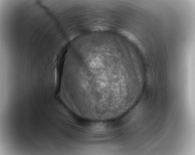 X0000088481217200706051354