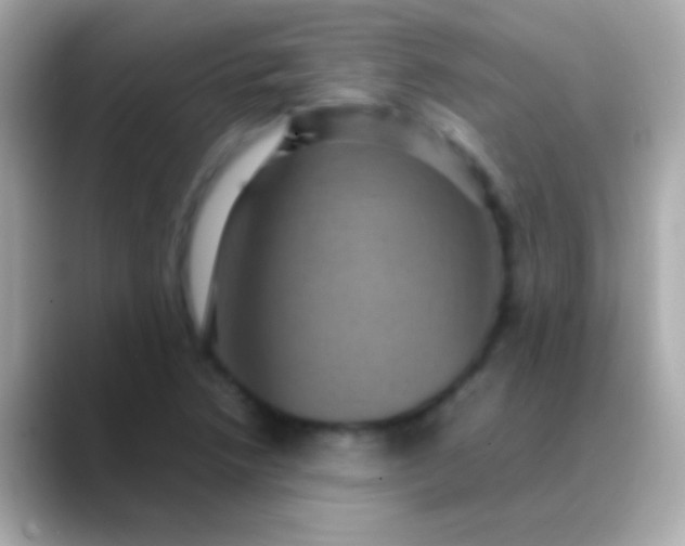 X0000088481218200706051354