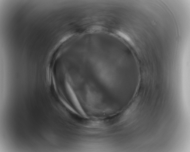 X0000088481219200706051354