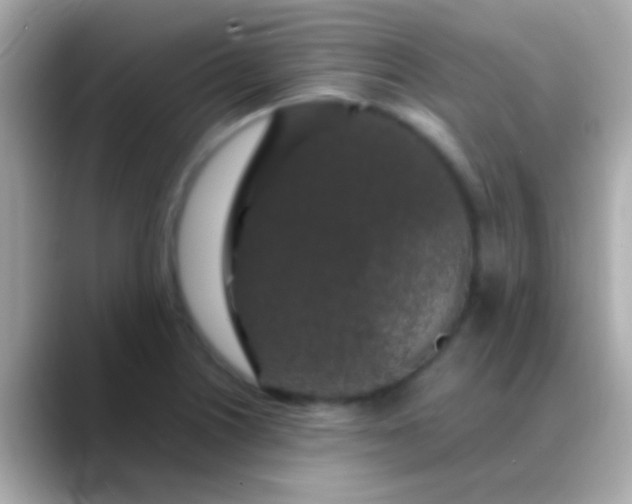 X0000088481226200706051354