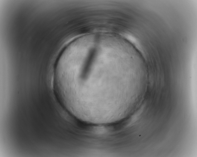 X0000088481227200706051354