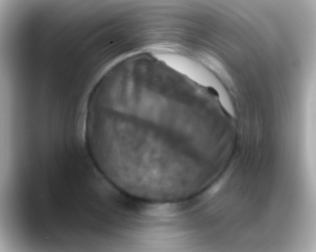 X0000088481228200706051354