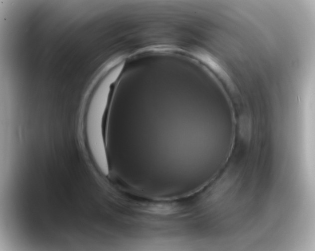 X0000088481229200706051354