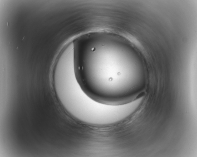X0000088481230200706051354