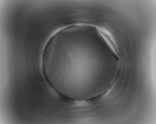 X0000088481231200706051354