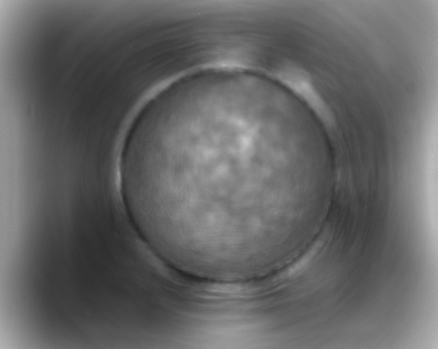 X0000088481232200706051354