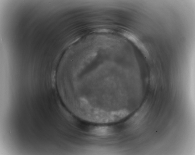 X0000088481233200706051354