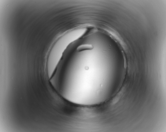 X0000088481234200706051354