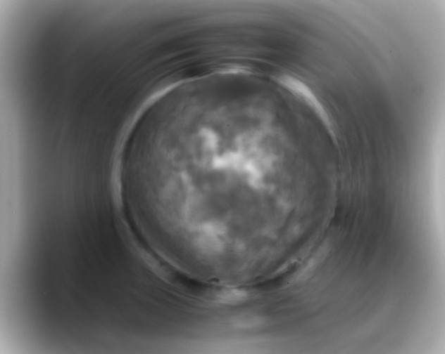 X0000088481235200706051354