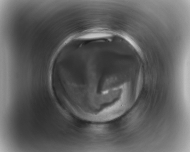 X0000088481237200706051354