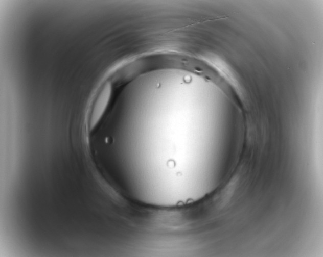 X0000088481238200706051354