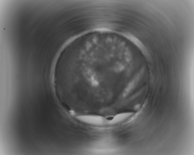 X0000088481240200706051354