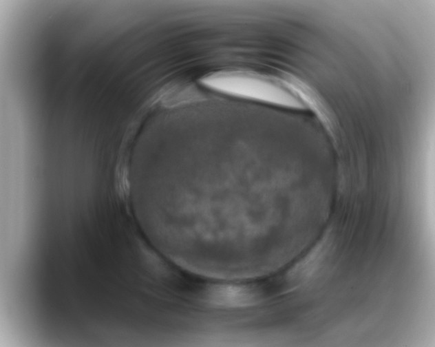 X0000088481241200706051355
